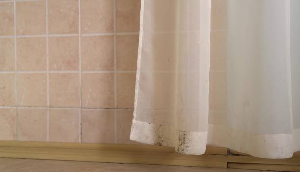 Best Emergency Mold Remediation  in Center Moriches, NY